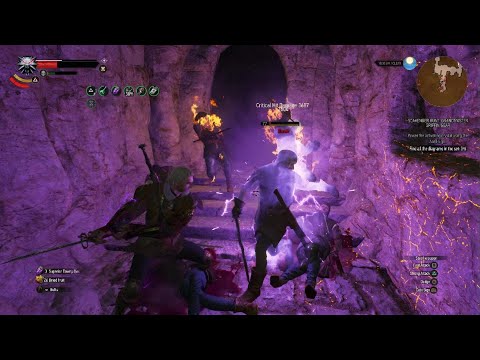 The Witcher 3 - Guess It's a Potion side effects