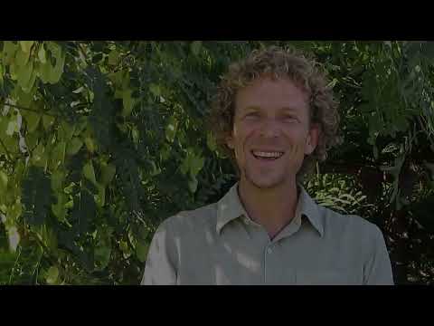 Xero Shoes Denver Leather Review - A Barely-There Stylish Barefoot-Style Boot