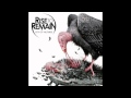 Rise To Remain City Of Vultures HD