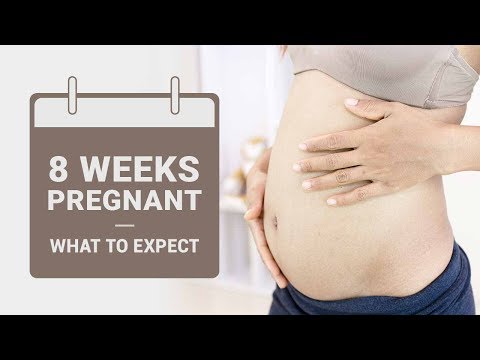 8 Week Pregnant -  What to Expect?
