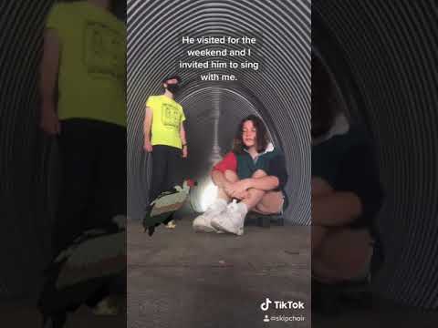 SkipChoir - Phoebe Bridgers - Motion Sickness (Cover)