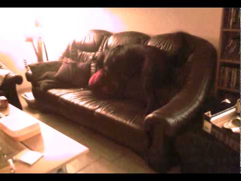 Rocky out of controle