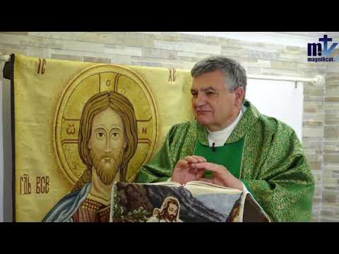 Homilía de Hoy │ XI Domingo del Tiempo Ordinario│18-06-2023 | P. Santiago Martín, FM