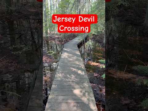 Jersey Devil Crossing in the Pine Barrens #NewJersey #Weird #Unusual #Adventure #Exploring