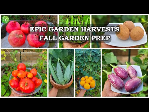 Gardening EPIC Garden Harvests FALL Organic Gardening Prep Garden Tour