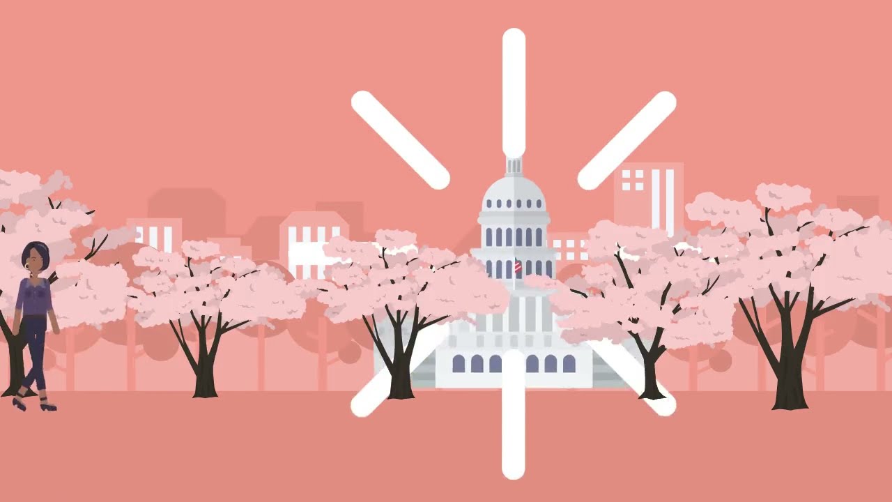 Psychology Internship Program Children's National Hospital Children