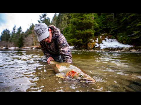 FLY FISHING FOR WILD STEELHEAD IN BRITISH COLUMBIA - A Trip of a Lifetime (Film)