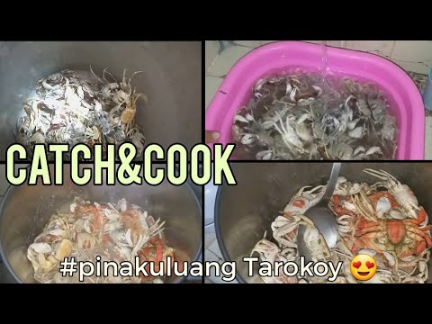 Manghuli ng Tarokoy (Alimasag) Gamit Flashlight | Catch and Cook | Pinakuluan | SeaTV