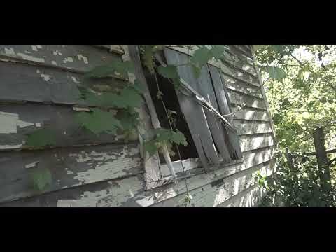 DeeBee “No drive by” (Official Music Video) Dir by UN1QE Visuals