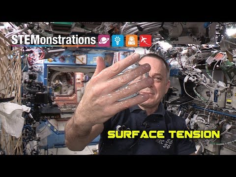 STEMonstrations: Surface Tension