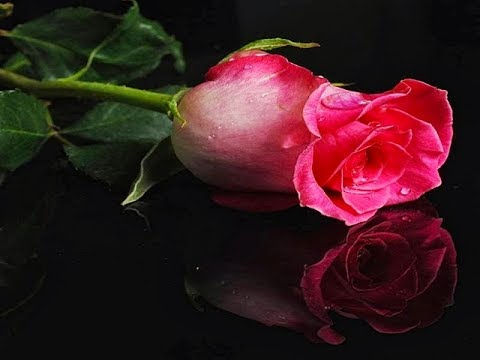 ALMOST CLOSE TO YOU - (Lyrics)