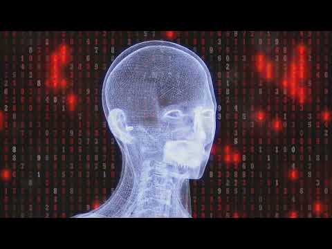 The Viral Sensations: Top 5 Videos of 2023