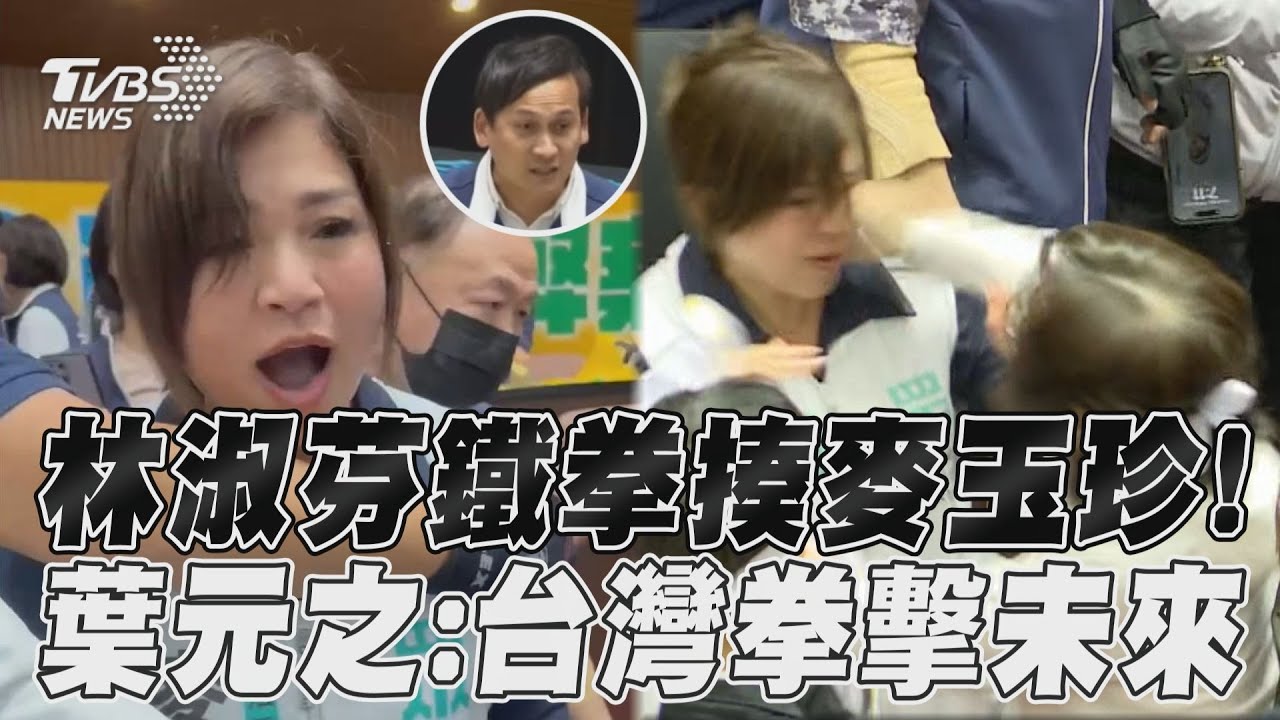 綠白互控施暴!林淑芬右勾拳重擊臉部 麥玉珍爆哭赴台大醫驗傷