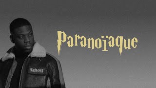 Paranoïaque Lyrics English Translation