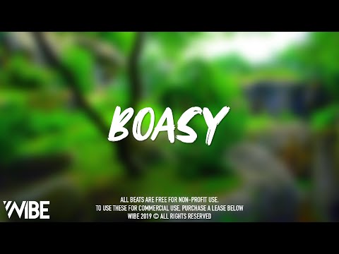 "Boasy" -  Loski x C Biz Type Beat (Prod. Vidorra)