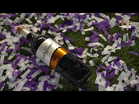 Real Valladolid celebrates with Cuatro Rayas the promotion to the Spanish La Liga - Primera División