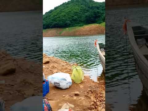 𝐁𝐔𝐌𝐁𝐔𝐍𝐀 𝐃𝐀𝐌𝐌