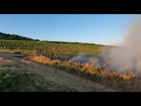 Incendiu de vegetatie - Calinesti, jud Arges, 20.07.2022 , Sursa video: ISU Arges