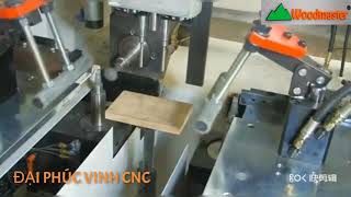 Woodmaster. MÁY PHAY RÃNH HỘC KÉO TỰ ĐỘNG ĐA NĂNG GIÁ RẺ NHẤT THỊ TRƯỜNG VN 2020