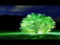 Quran Ruqyah Shariah InjifannooTube