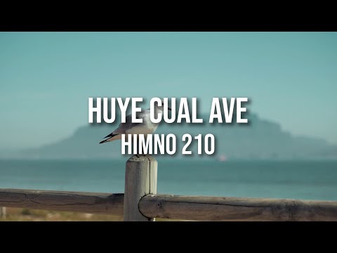 Himno 210 - Huye cual ave.