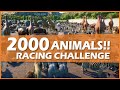 BIGGEST RACE EVER! Planet Zoo