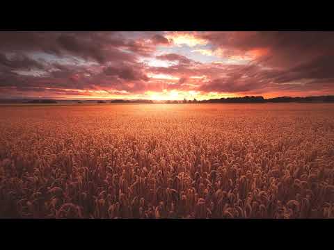 NOW WE ARE FREE (Half Speed Version - Relaxing, Soothing, Chilled, Meditation Music)