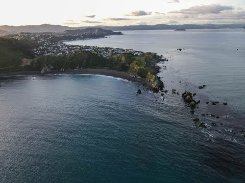 Landscapes | Perspectives One (Breaker Bay, Wellington, New Zealand)