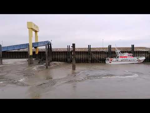 Sturm aus Ost am 07.02.2021 in Strucklahnungshörn auf Nordstrand