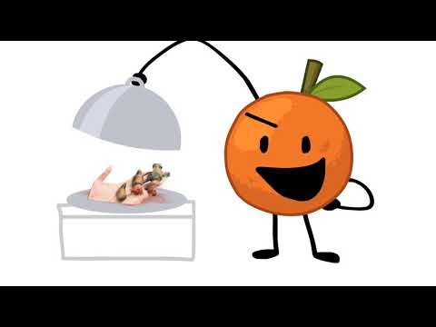 TROC5 C5 – Rückgabe der Urne