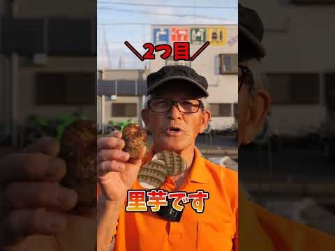 庭師のカレンダー 3月に菜園に何を植えるか 春に好む野菜はどれか