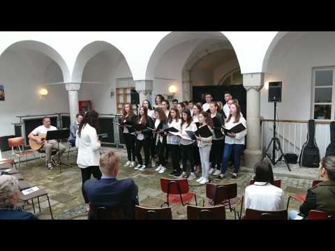 3. Tag der Welser Kultur - Mladi zbor "Vis Kephas"