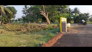  Residential Plot for Sale in Pattukkottai, Thanjavur
