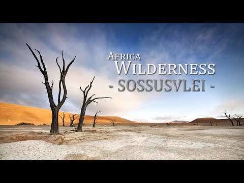 Sossusvlei : Namibia's dead-end marsh | 