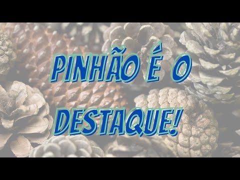 Coxa Goleia e vira líder, mas Fantasma vai bem,  demais resultados muitos surpreendentes.
