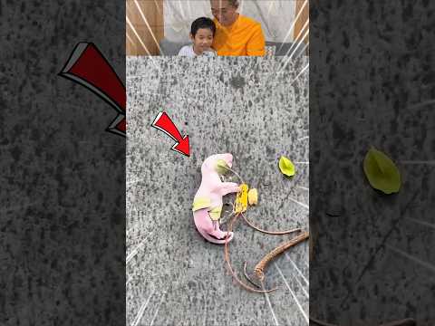 Keizo ketakutan ada bayi aneh disini⁉️😱