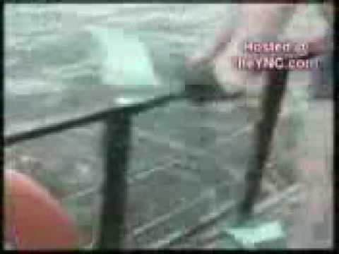 Faze Comice Mori De Ras