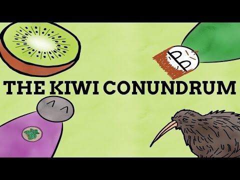 download lagu mp3 mp4 Where Is Kiwi, download lagu Where Is Kiwi gratis, unduh video klip Where Is Kiwi