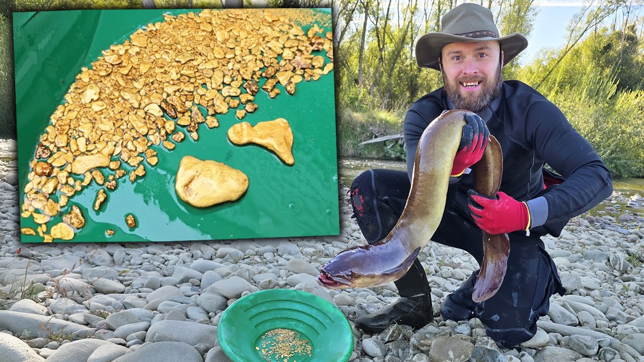 Camping In New Zealand Dredging GOLD, Finding Fossils, and Catching BIG Eels!