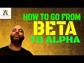 How To Go From A Beta Male To An Alpha Male
