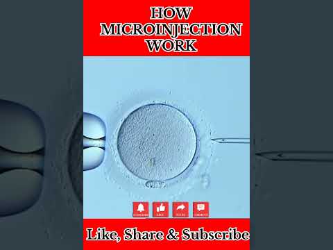 How Micro injection Work #shorts#biology#biotechnology