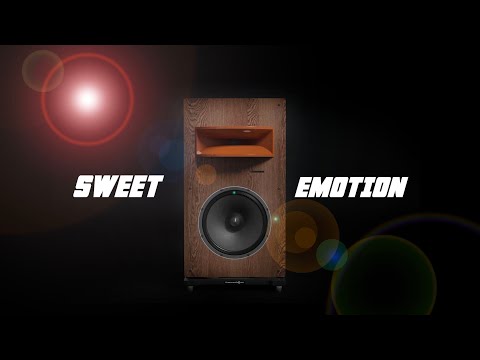 See why Horn Speakers Rule! The Pure Audio Project Duet15 Horn Experience!