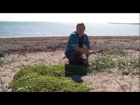 The Human Passion Project - Iceland by Kristinn Gudmundsson