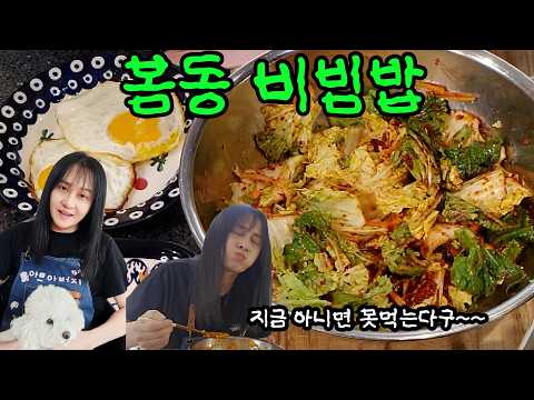 고기보다 더 맛있다는 봄동비빔밥 #vlog