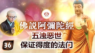 《佛说阿弥陀经》第36讲 - 五浊恶世 保证得度的法门 | 净本法师 主讲