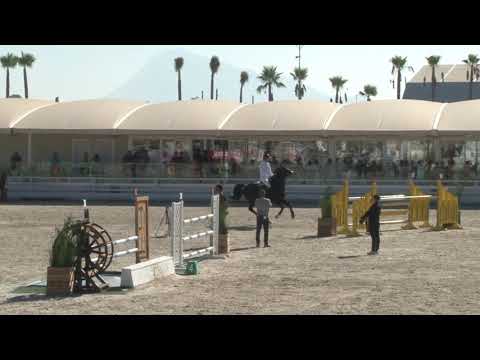 Stall NAGEL NECOFINO von Nerrado