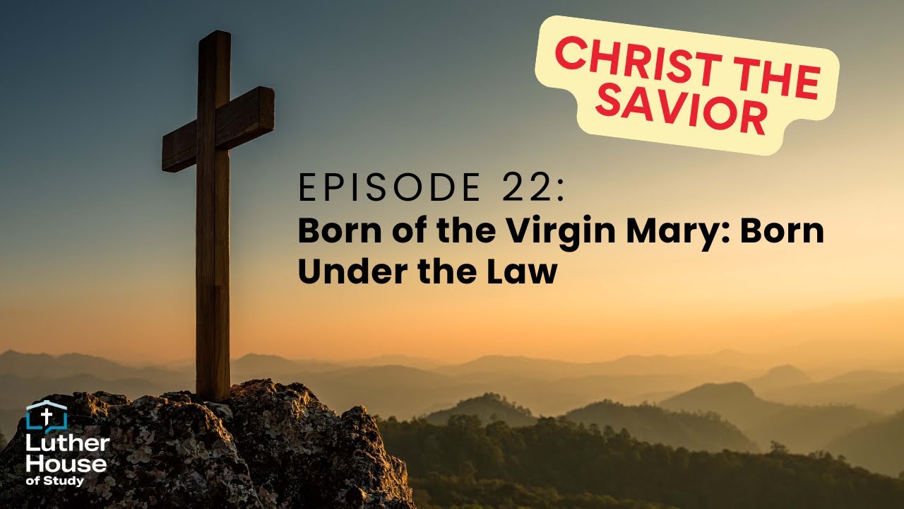Ep. 22 - Born of the Virgin Mary: Born Under the Law