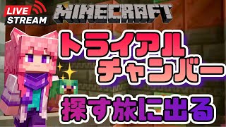 【マインクラフト】トライアルチャンバーを探す！