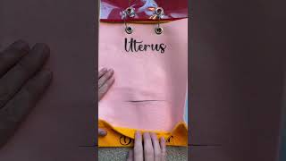 Download lagu Anatomi Operasi Caesar {7 Lapisan!} #operasicaesar #pendidikanpersalinan #persalinandanmelahirkan... mp3