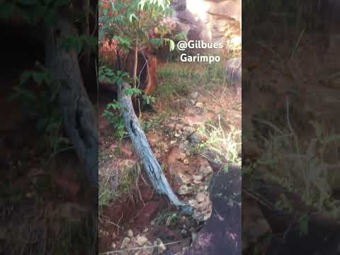 Você pode conhecer lugares incríveis em Gilbués. Localização no pv.